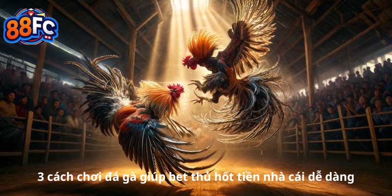 3 cách chơi đá gà giúp bet thủ hốt tiền nhà cái dễ dàng