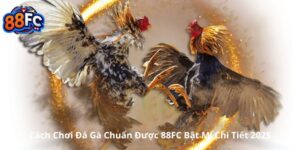 Cách Chơi Đá Gà Chuẩn Được 88FC Bật Mí Chi Tiết 2025