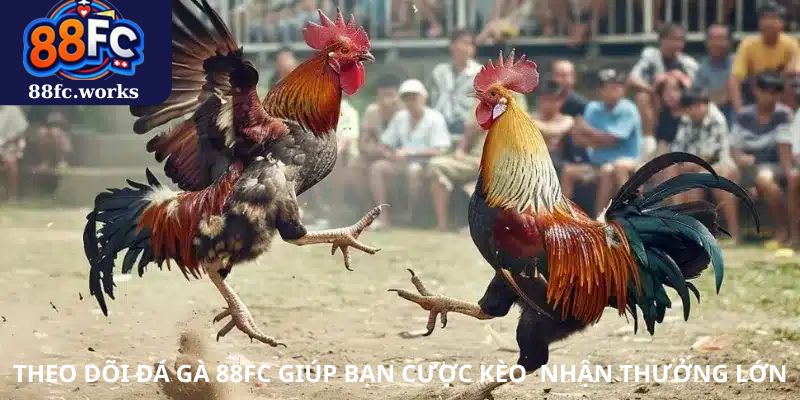 Theo dõi đá gà 88FC giúp bạn cược kèo nhận thưởng lớn